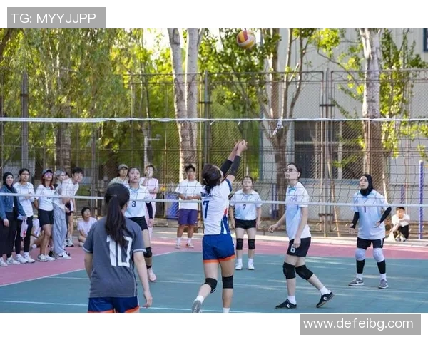 成都排球队在全国排球团队协作排行榜中荣获第六名的佳绩